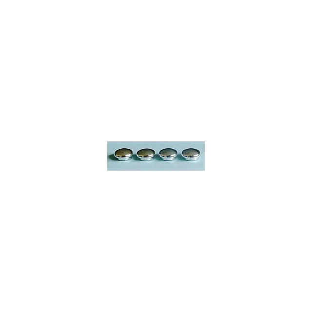 Magnete 12 Stück chromfarben